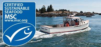 Traceable Authentic Maine. A Sustainable Resource.